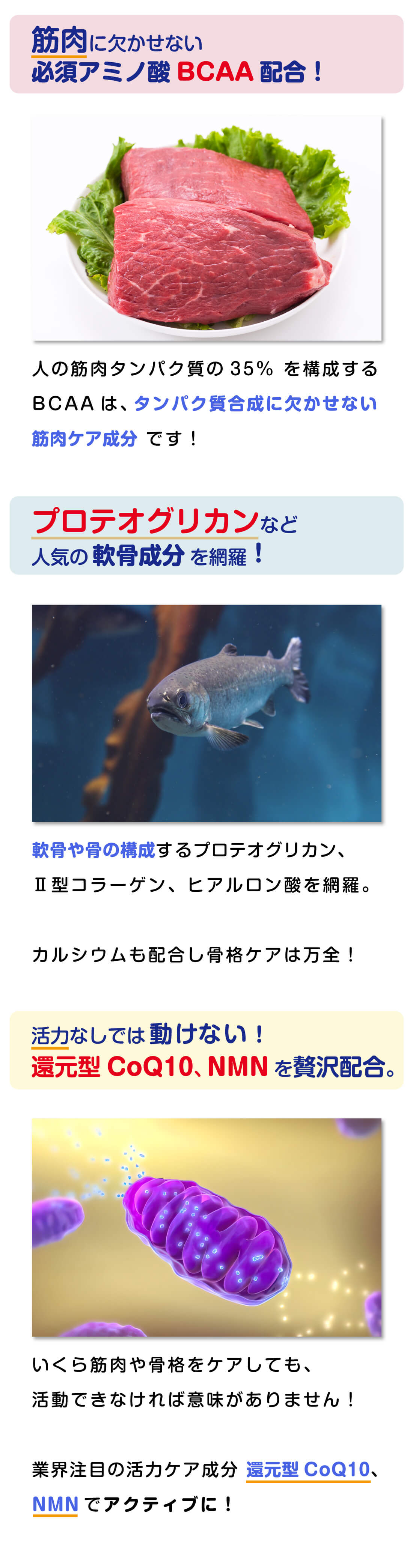 リジェネシア FINE　成分説明