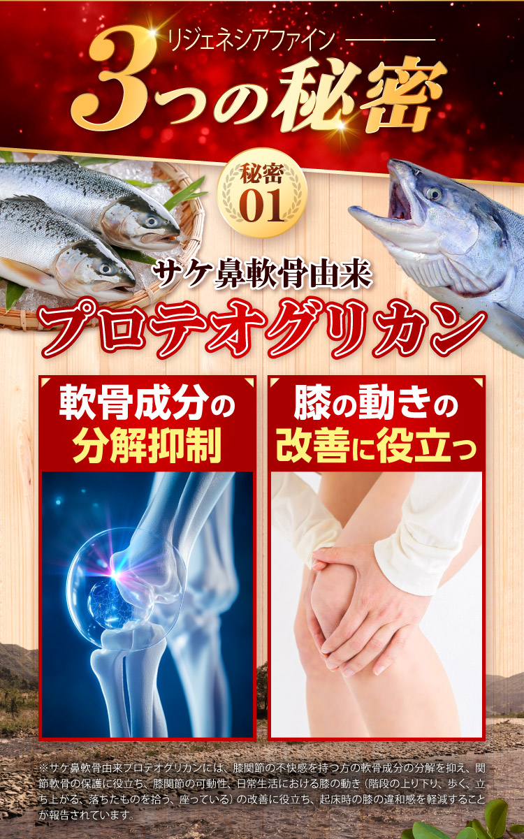 プロテオグリカン
