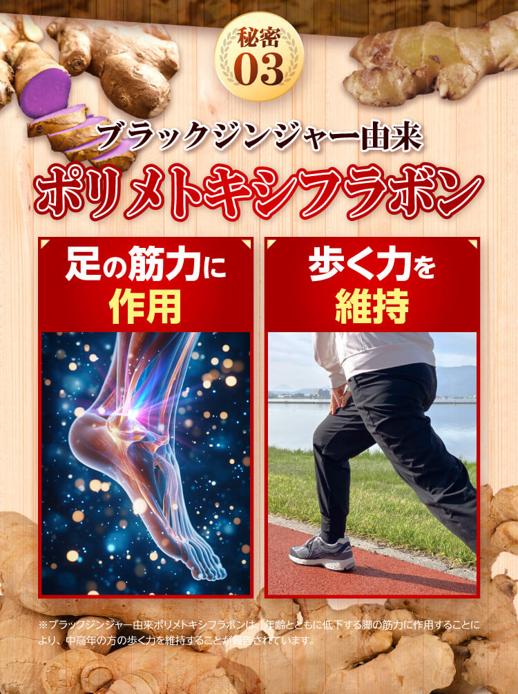 ポリメトキシフラボン